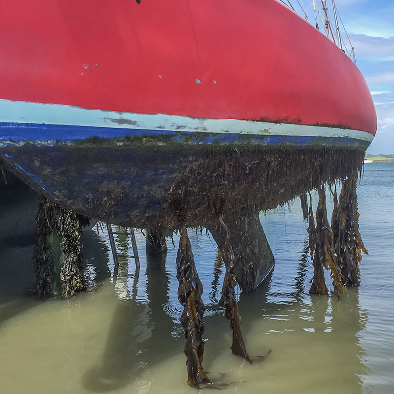 Ultrasoon Anti-Fouling